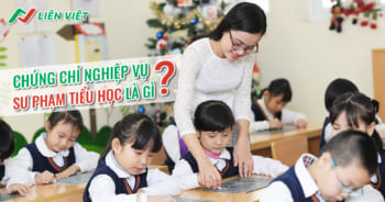 Nghiệp vụ sư phạm tiểu học là gì?
