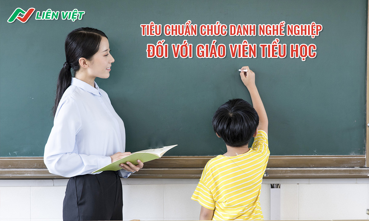 quy định mã số, tiêu chuẩn chức danh nghề nghiệp giáo viên tiểu học công lập