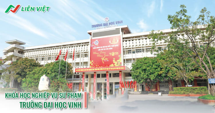 chứng chỉ nghiệp vụ sư phạm Đại học vinh