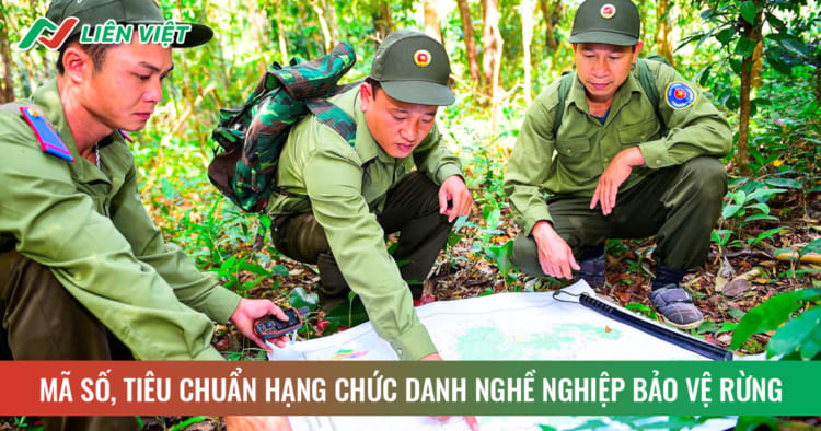 Chức danh nghề nghiệp quản lý bảo vệ rừng