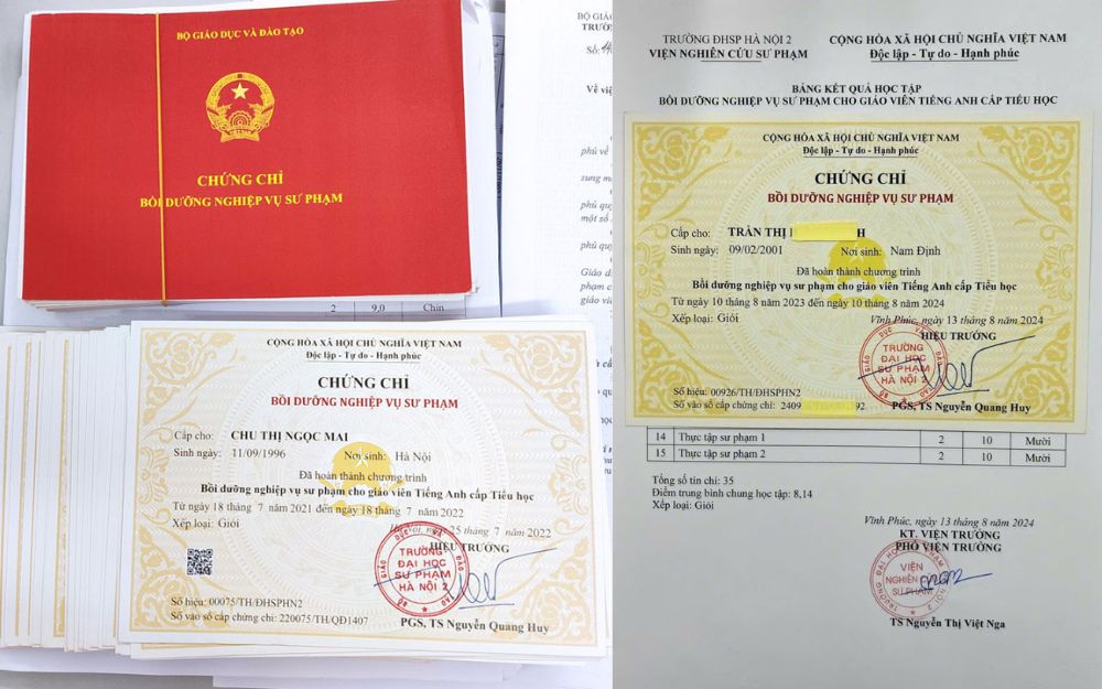 Mẫu chứng chỉ nghiệp vụ sư phạm tiếng anh tiểu học