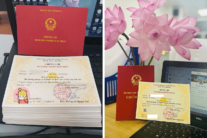 Đăng ký học nhận chứng chỉ NVSP tiểu học tại Liên Việt Education