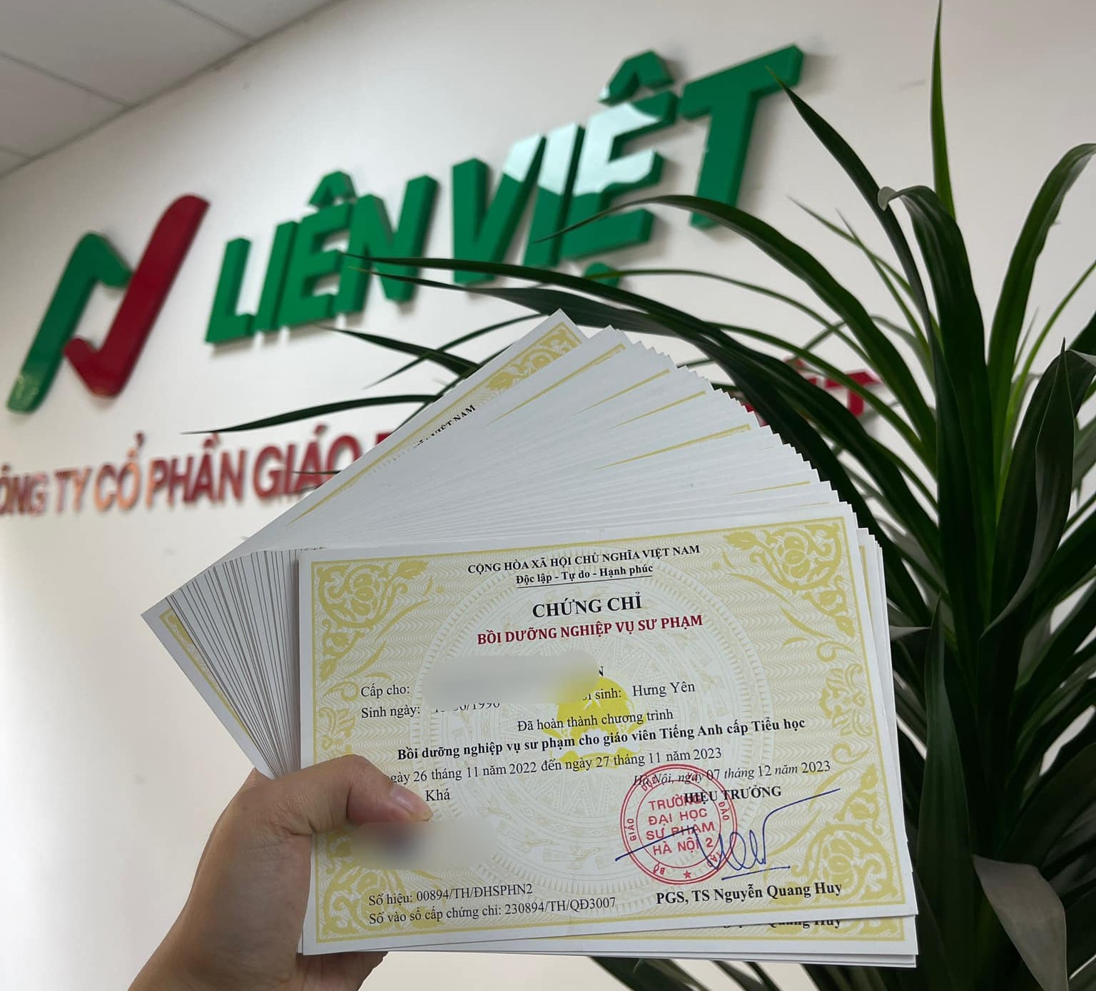 Đăng ký học nhận chứng chỉ NVSP tiểu học tại Liên Việt Education