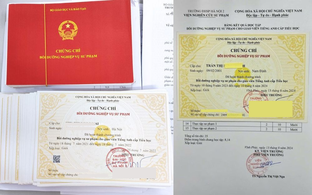 Mẫu chứng chỉ nghiệp vụ sư phạm tiếng anh tiểu học