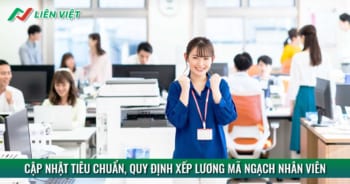 Mã ngạch nhân viên là gì? Tiêu chuẩn, quy định xếp lương ra sao?