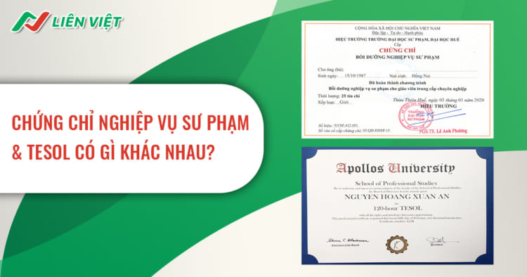 Chứng chỉ Tesol là gì? Nên học nghiệp vụ sư phạm hay TESOL?