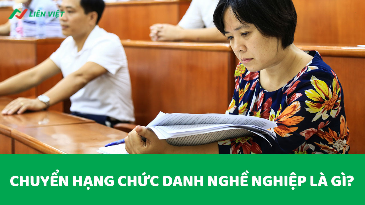 Chuyển hạng chức danh nghề nghiệp việc được bổ nhiệm vào chức danh nghề nghiệp khác phù hợp với chuyên môn