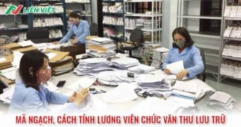 Chuyển ngạch viên chức là gì? Quy định về chuyển ngạch viên chức