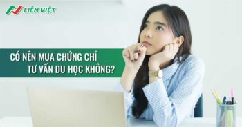 Mua chứng chỉ tư vấn du học được không? Có hậu quả gì?
