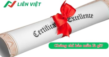 Chứng chỉ bảo mẫu