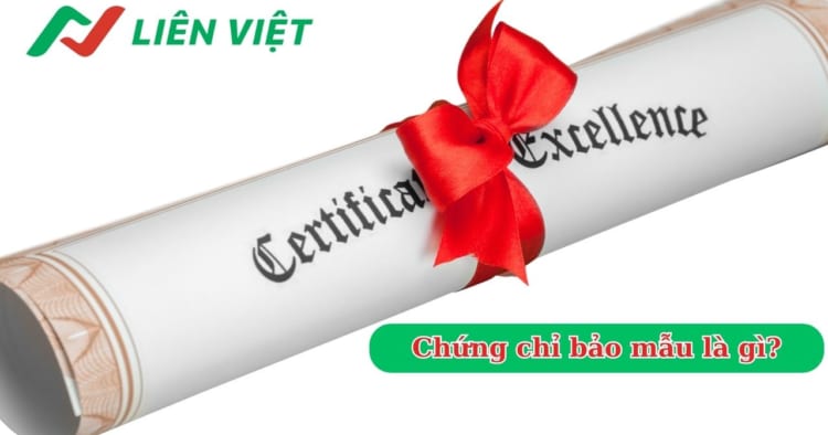 Chứng chỉ bảo mẫu