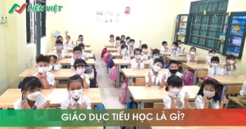 Giáo dục tiểu học là gì?