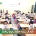 Giáo dục tiểu học là gì?