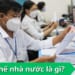 Biên chế là gì?
