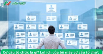 Cơ cấu tổ chức là một hệ thống liên kết các mối quan hệ nội bộ trong doanh nghiệp
