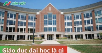 Giáo dục đại học là gì? Giáo dục đại học và sau đại học