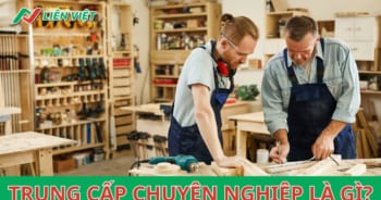 trung cấp chuyên nghiệp là gì