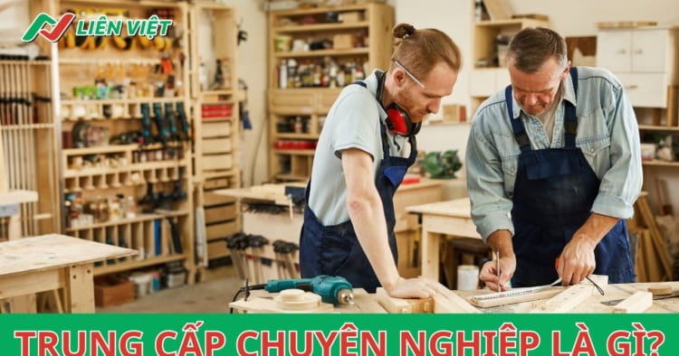 trung cấp chuyên nghiệp là gì