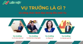 Vụ trưởng là gì? Vai trò và nhiệm vụ của Vụ trưởng