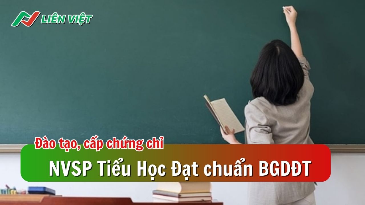 Liên tục tuyển sinh, đào tạo các lớp NVSP uy tín tại Hà Nội