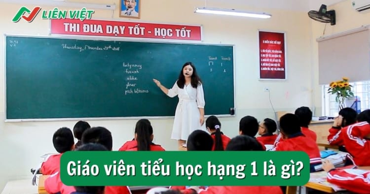 Giáo viên tiểu học hạng 1 là gì