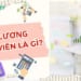 Hệ số lương của giáo viên các cấp