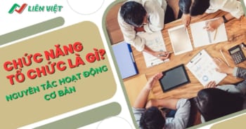 Chức năng tổ chức là gì? Vai trò và nguyên tắc hoạt động