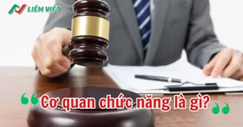 Cơ quan chức năng là gì