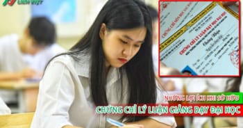 chứng chỉ lý luận giảng dạy đại học