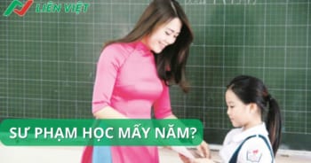 sư phạm học mấy năm