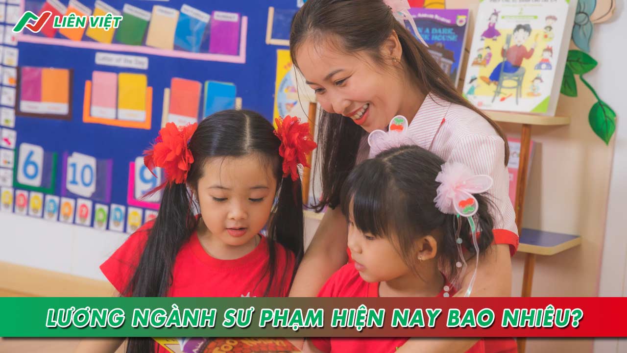 bằng cử nhân sư phạm là bằng gì