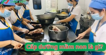 Tìm hiểu khái niệm cấp dưỡng mầm non là gì?