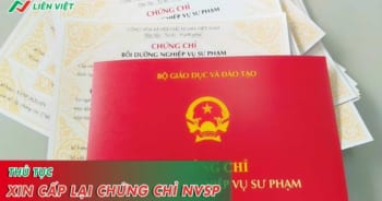 Chứng chỉ nghiệp vụ sư phạm bị mất