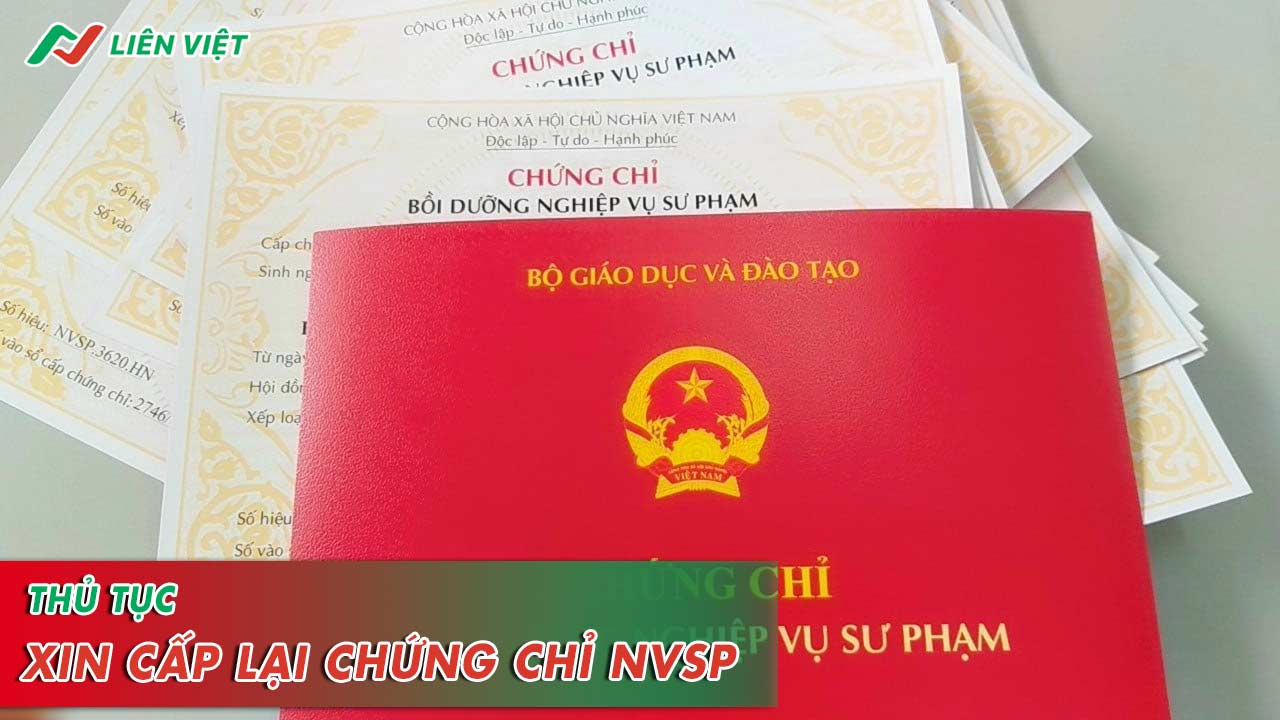 Chứng chỉ nghiệp vụ sư phạm bị mất 