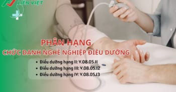 phan-hang-chuc-danh-nghe-nghiep-dieu-duong