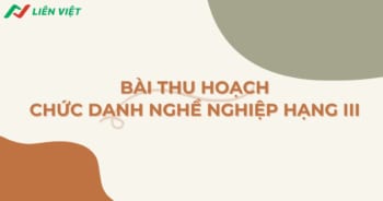 bai-thu-hoach-chuc-danh-nghe-nghiep-hang-3-0