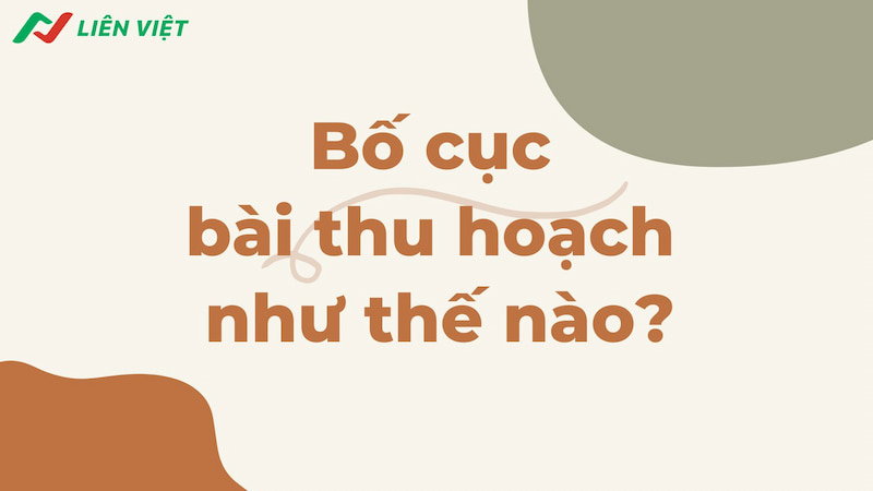 bo-cuc-bai-thu-hoach