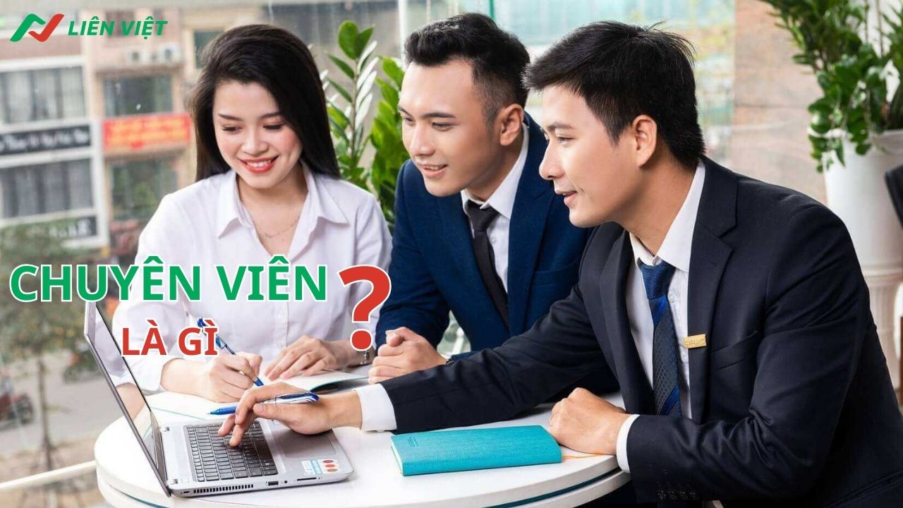 chuyen-vien-la-gi