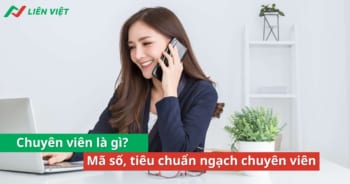 Chuyên viên là gì? Mã số, tiêu chuẩn ngạch chuyên viên