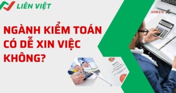 Ngành kiểm toán có dễ xin việc không? Giải đáp chi tiết nhất!
