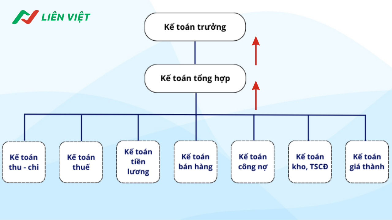 Sơ đồ bộ máy kế toán của 1 doanh nghiệp tương ứng với lộ trình thăng tiến lên kế toán trưởng