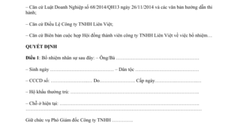 3 Mẫu Quyết định bổ nhiệm Phó Tổng giám đốc 2025