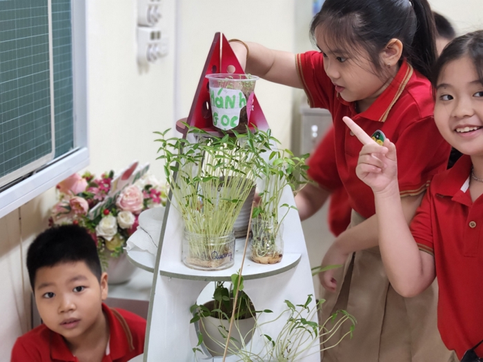 Khám phá là một trong các phương pháp dạy học tích cực ở tiểu học nhận được nhiều sự hứng thú của học sinh