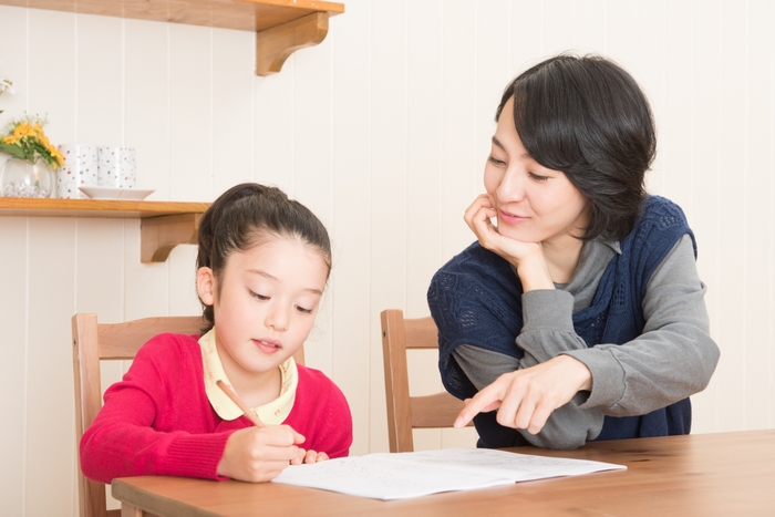 Đội ngũ gia sư dạy kèm tại nhà TPHCM phần lớn là giáo viên, sinh viên trên địa bàn thành phố