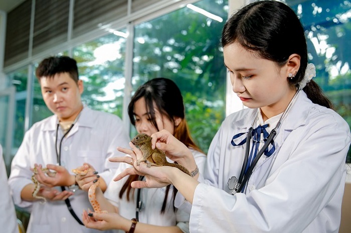 Điểm chuẩn ngành Thú y có thể đạt đến 27 điểm tại các trường top đầu