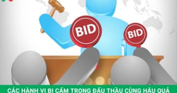 các hành vi bị cấm trong đấu thầu