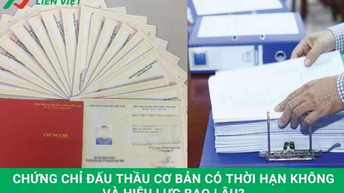 Chứng chỉ đấu thầu cơ bản có thời hạn không