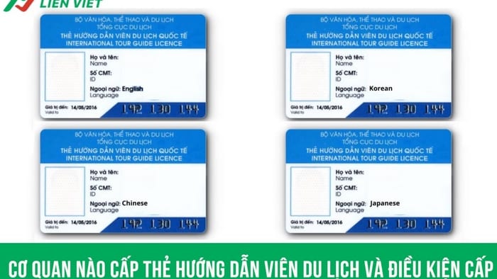 Cơ quan nào cấp thẻ hướng dẫn viên du lịch