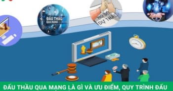 Đấu thầu qua mạng là gì