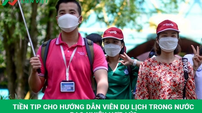 Tiền tip cho hướng dẫn viên du lịch trong nước